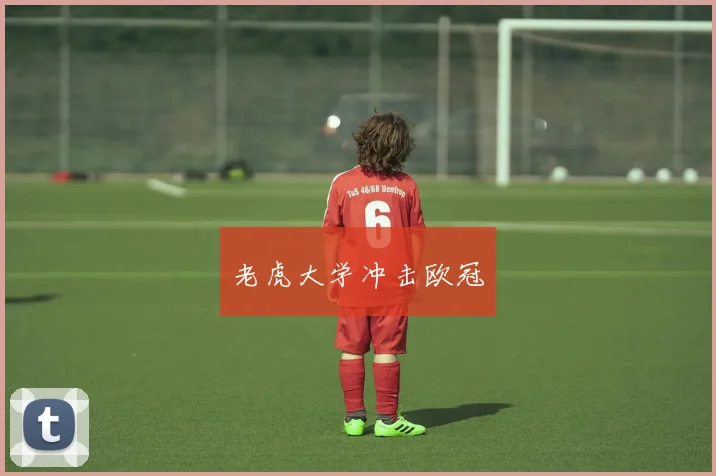 老虎大学冲击欧冠