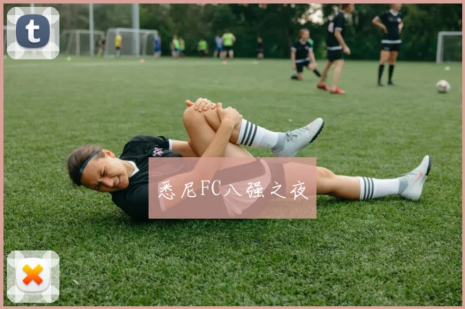 悉尼FC八强之夜