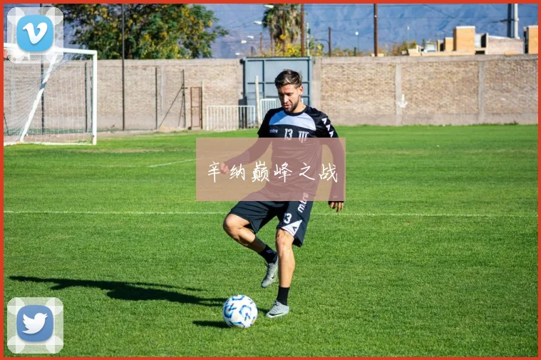 辛纳巅峰之战