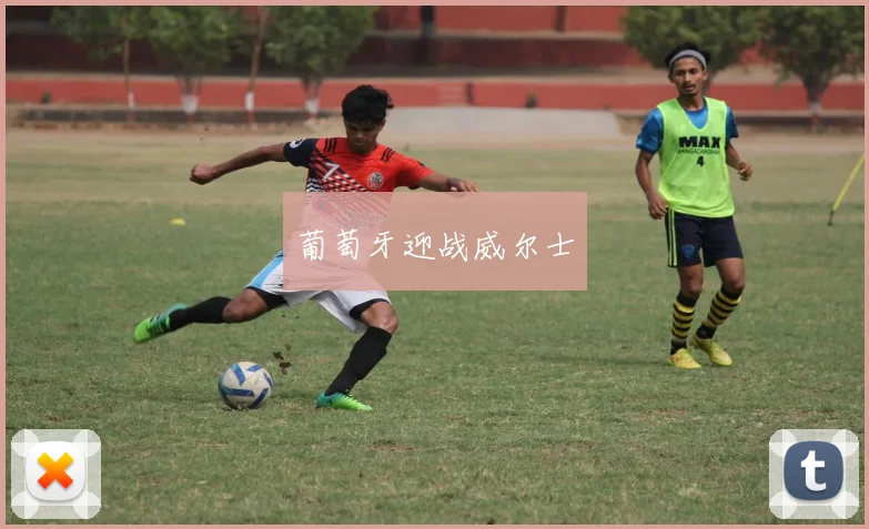 葡萄牙迎战威尔士