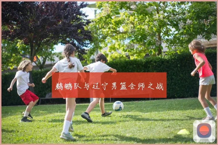 鹈鹕队与辽宁男篮会师之战