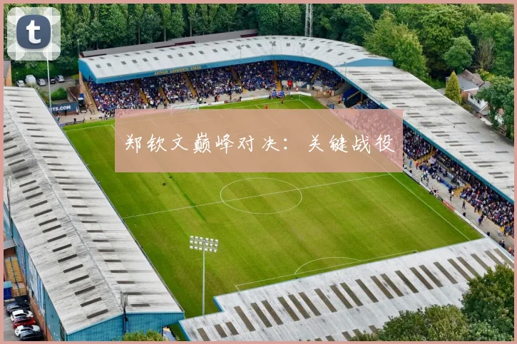 郑钦文巅峰对决：关键战役
