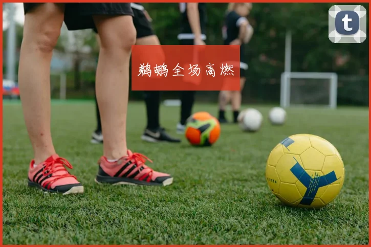 鹈鹕全场高燃
