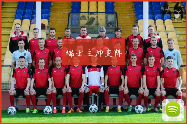 瑞士主帅变阵