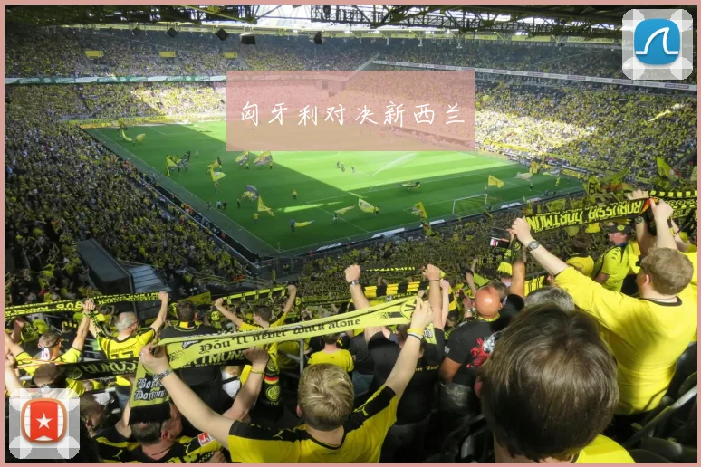 匈牙利对决新西兰