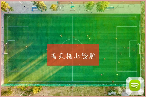 高芙抢七险胜