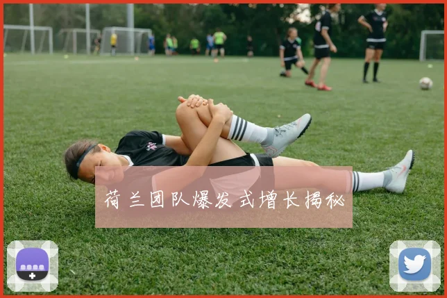 荷兰团队爆发式增长揭秘