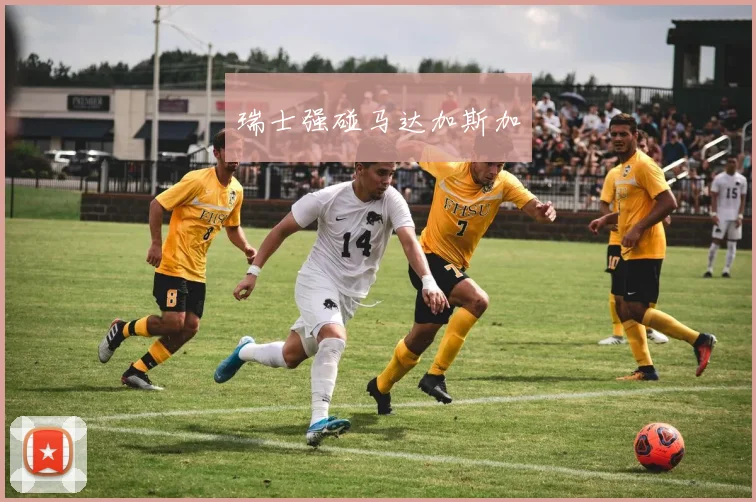 瑞士强碰马达加斯加