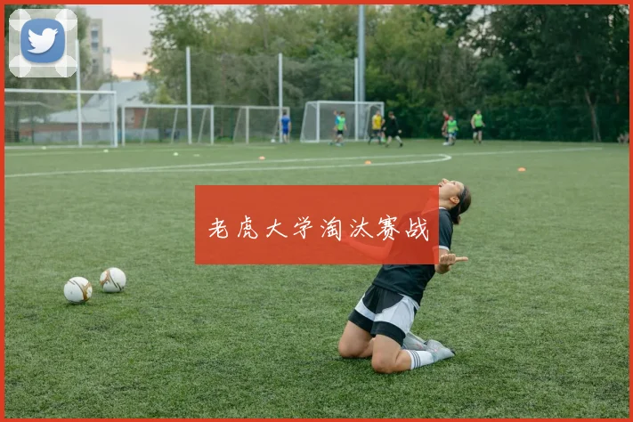 老虎大学淘汰赛战