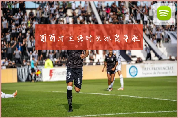 葡萄牙主场对决冰岛争胜