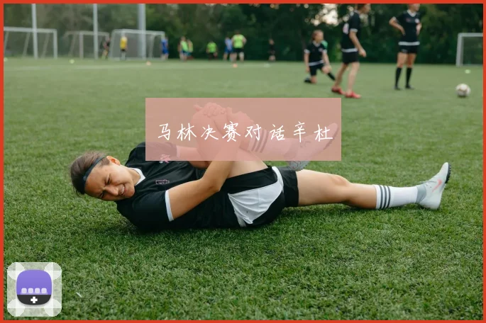 马林决赛对话辛杜
