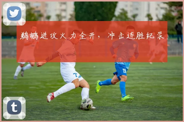 鹈鹕进攻火力全开，冲击连胜纪录