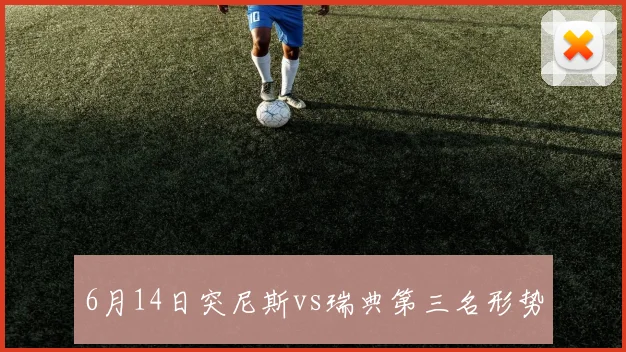 6月14日突尼斯vs瑞典第三名形势