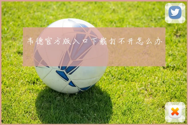 韦德官方版入口下载打不开怎么办