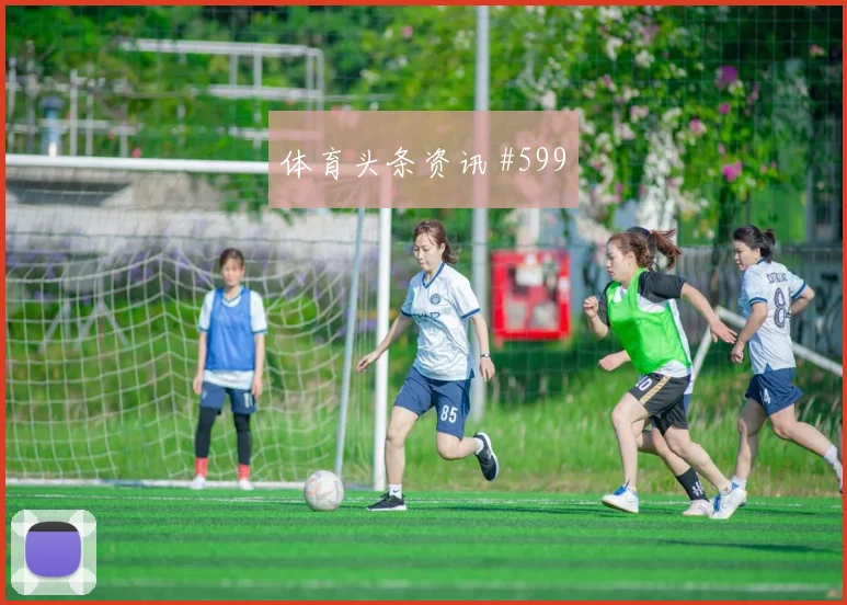 阿根廷对阿尔及利亚J组战术板解析
